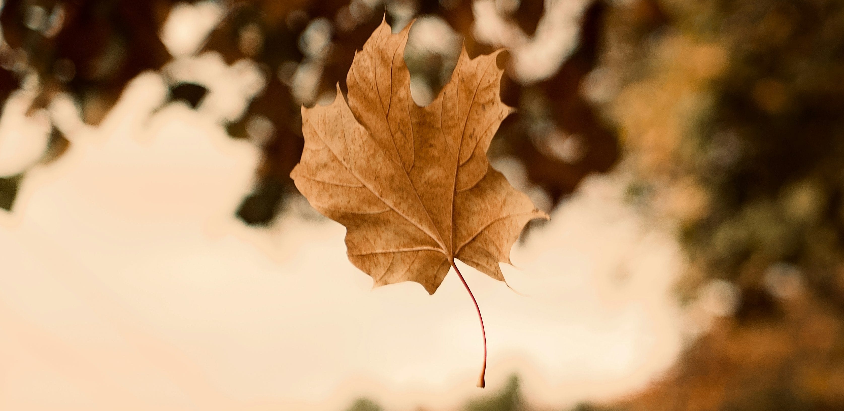 The Power of Vulnerability: Creating Authentic Connections