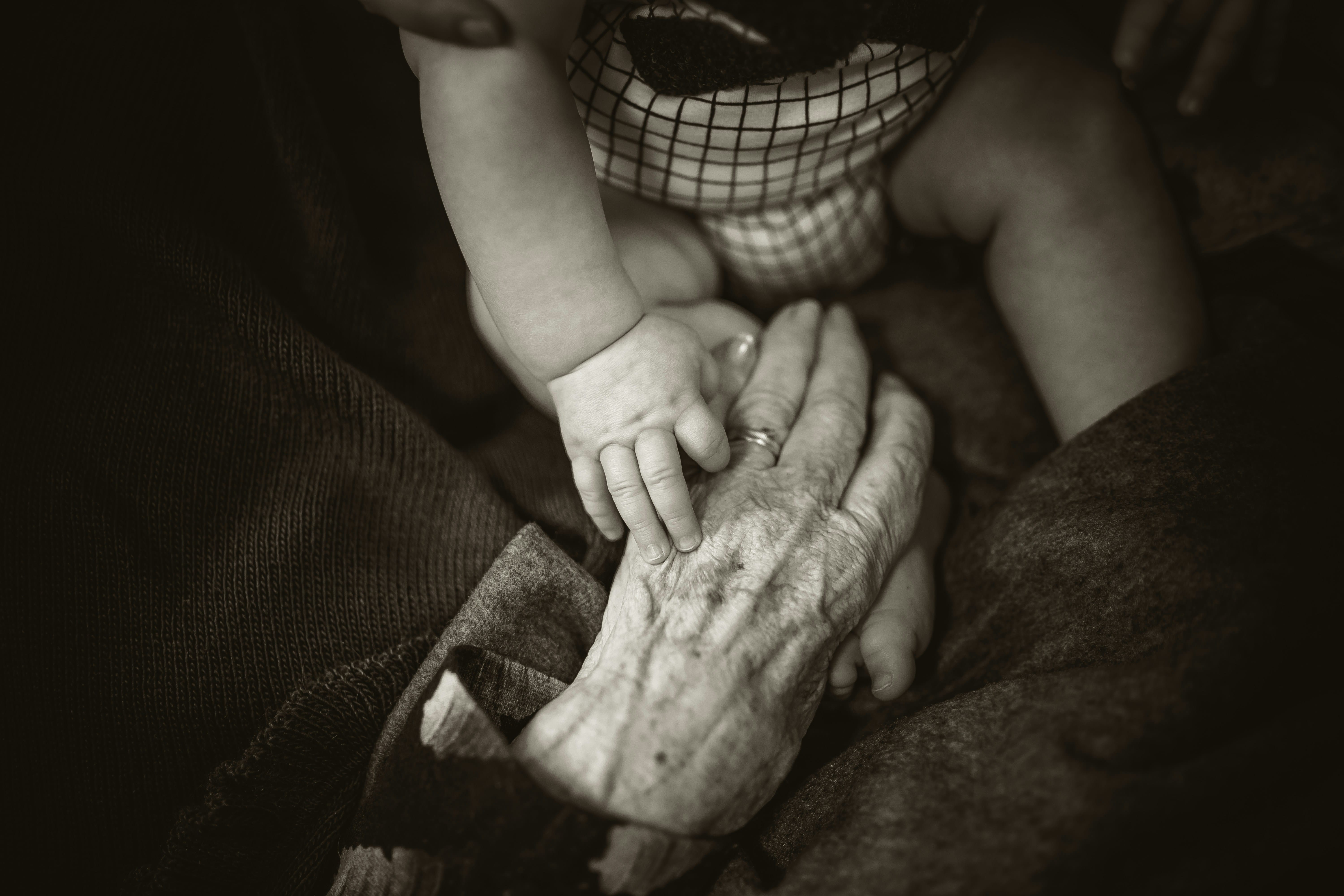 Healing Generational Wounds: The Power of Family Constellations