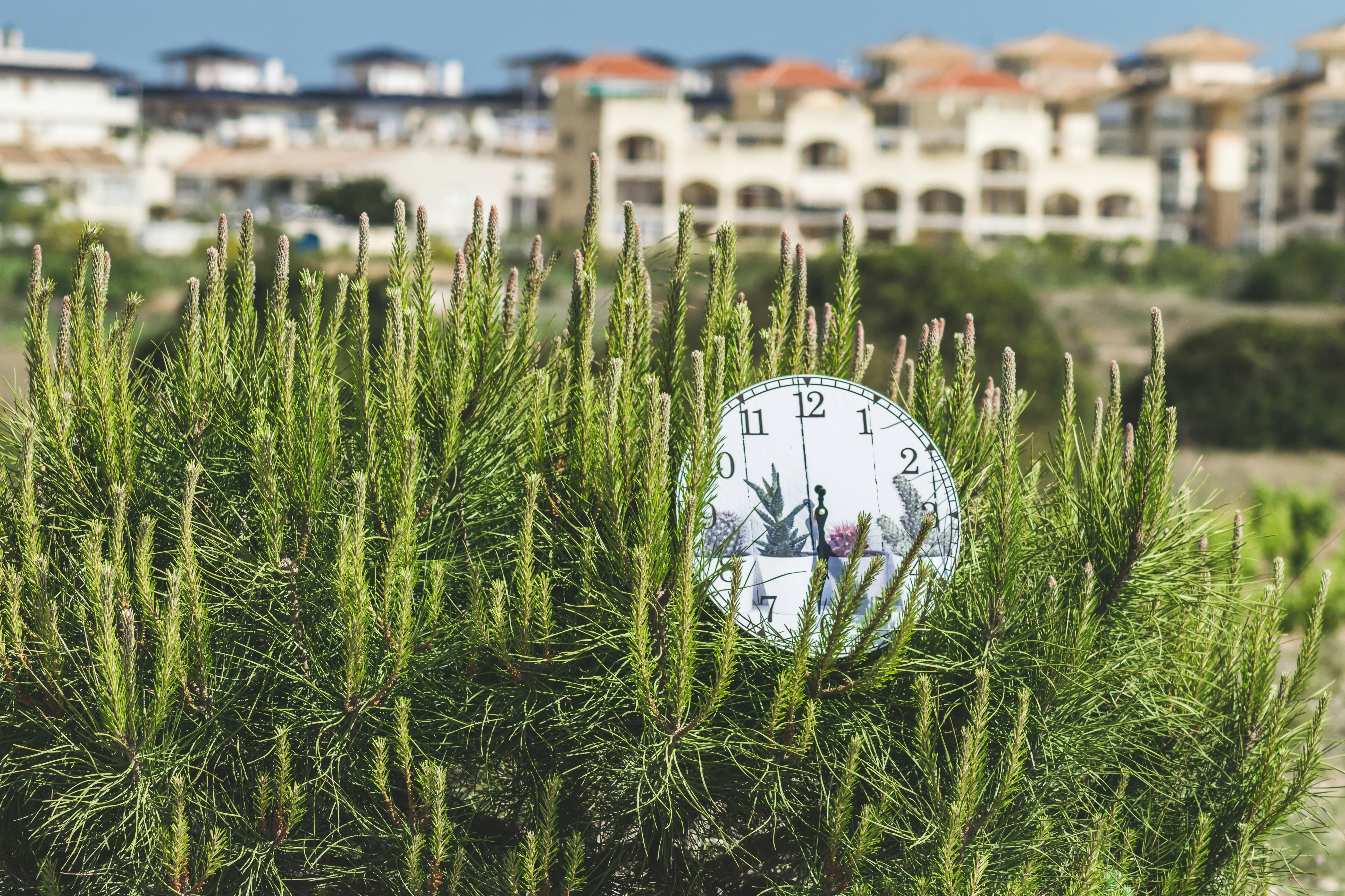 Escaping the Matrix of Money, Time & Ego